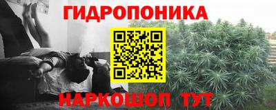 ECSTASY Белорецк