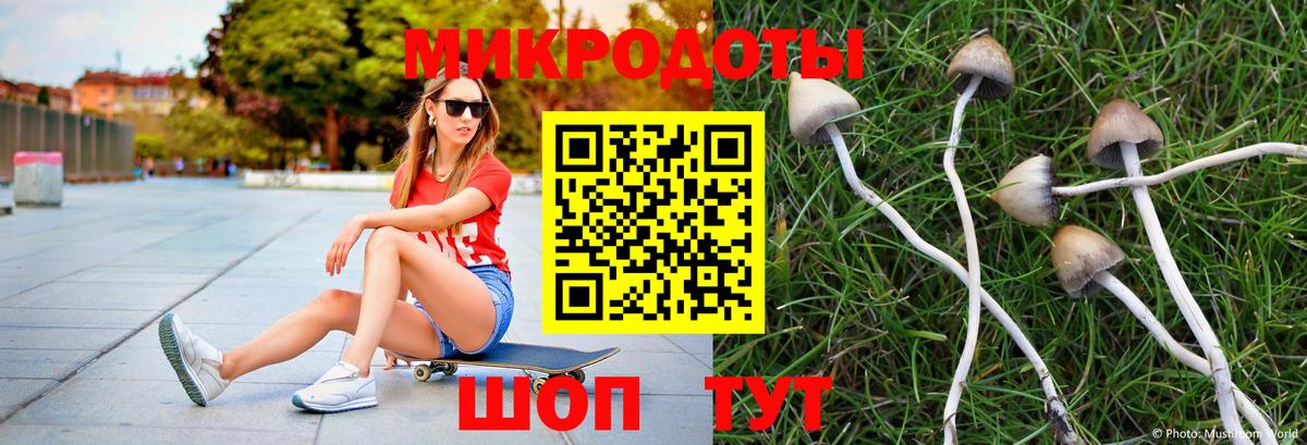 Лсд 25 Обнинск