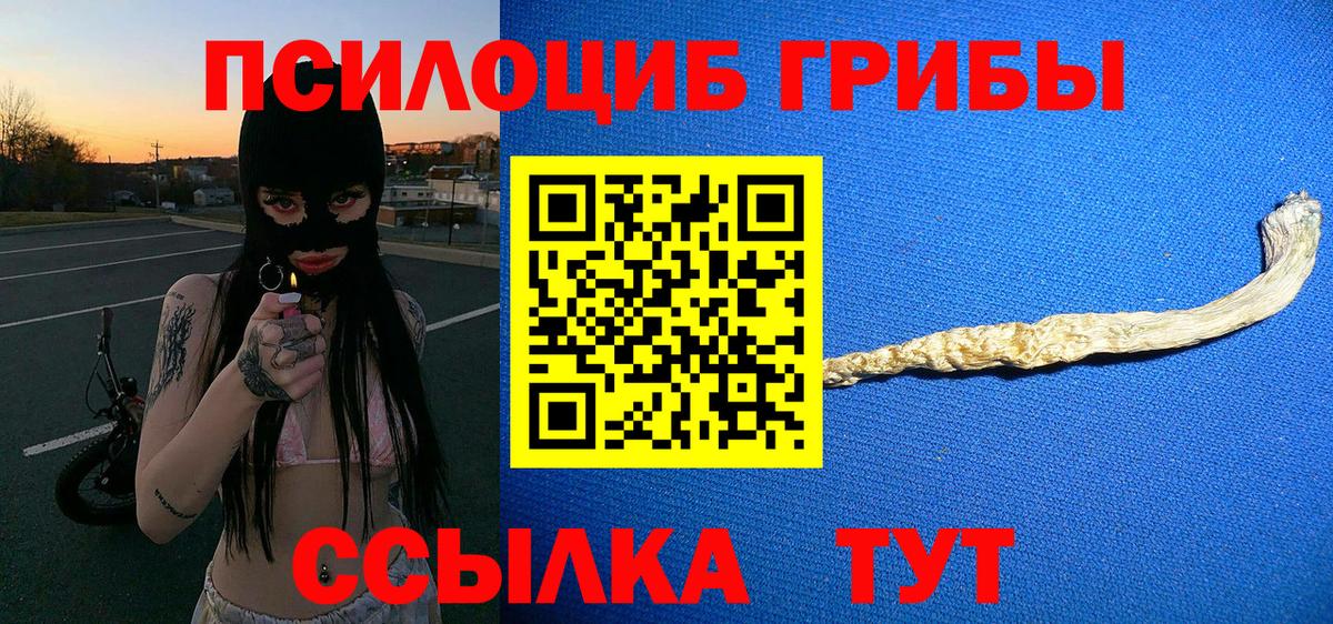 Псилоцибиновые грибы Cubensis Обнинск